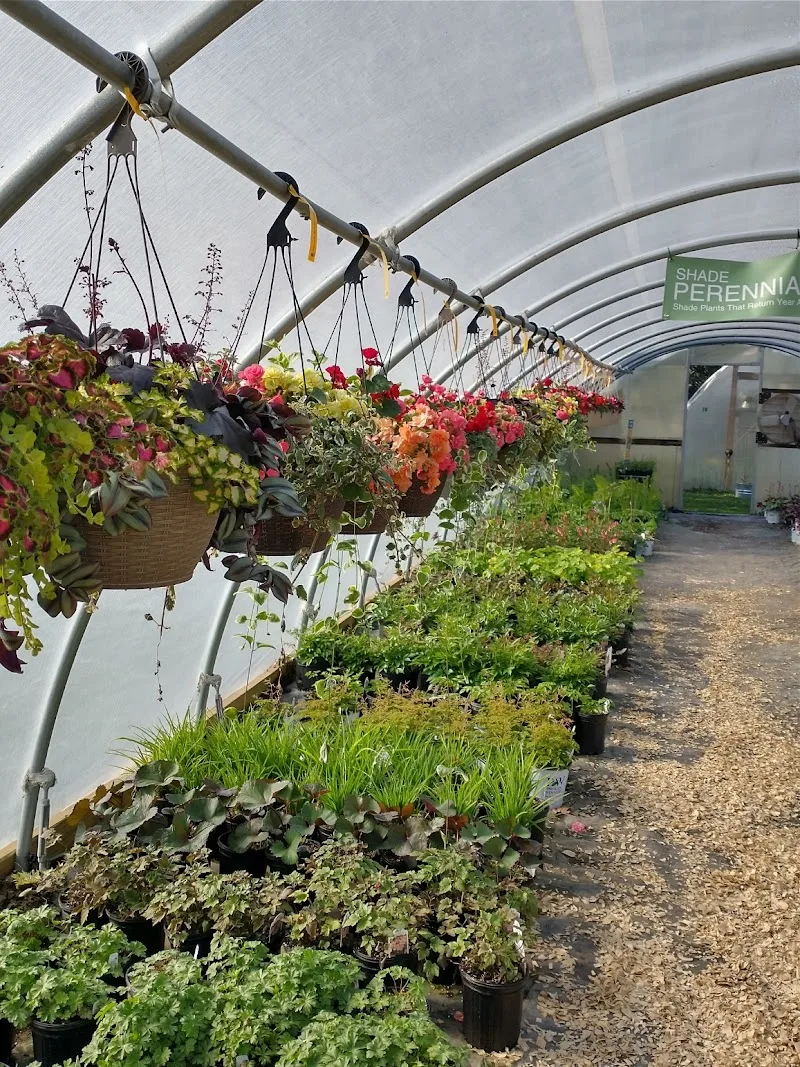 Murphy's Gardens