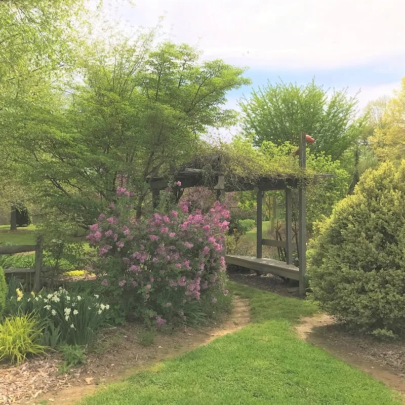 Birdsong Pleasure Garden