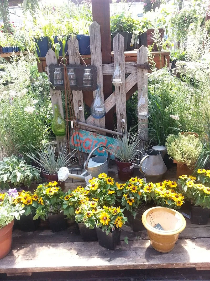 Moss Garden Center