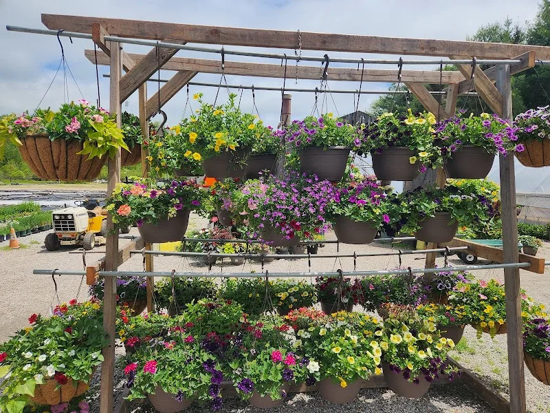 Stonington Gardens