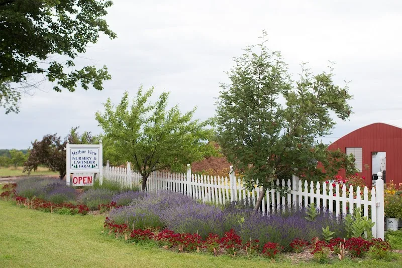 Harbor View Nursery And Lavender Farm