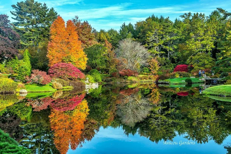 Asticou Azalea Garden