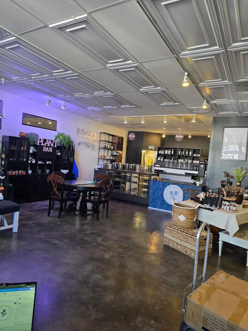 Blue Thistle Tea Bar & Cafe