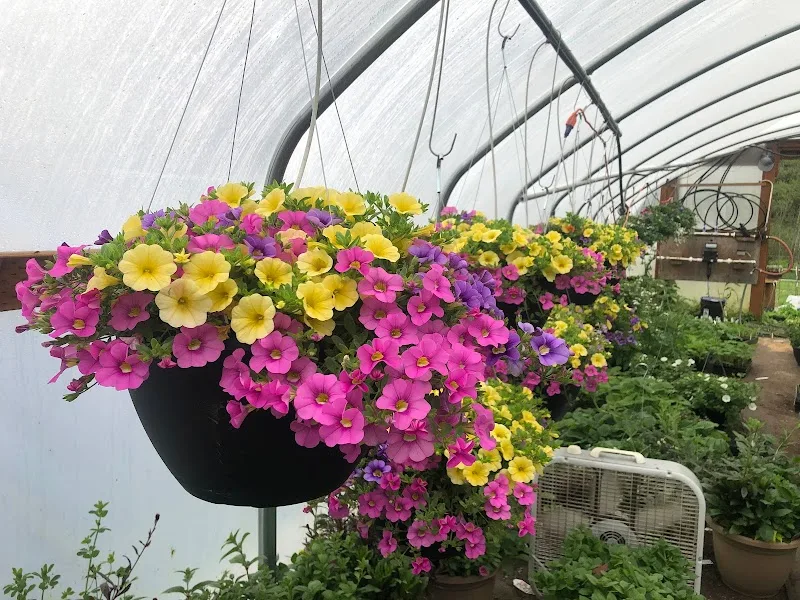Blackberry Bog Farm