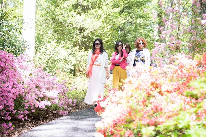 Jenkins Arboretum & Gardens