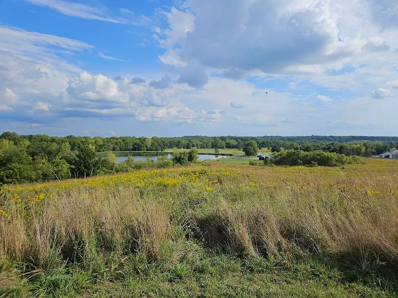 Infirmary Mound Park