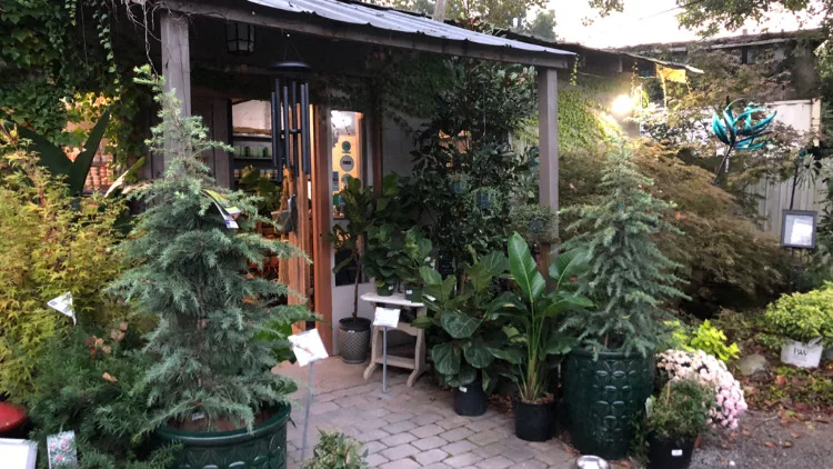 JVI Secret Gardens