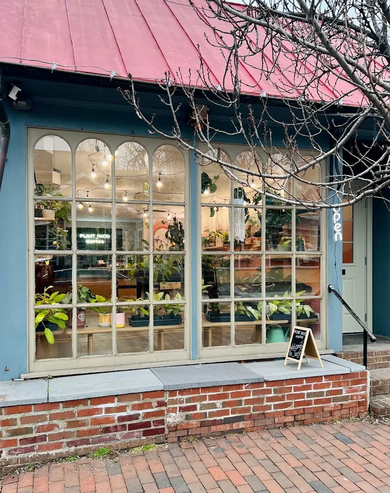 Plant Haus Market